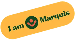 Alt text for this image.